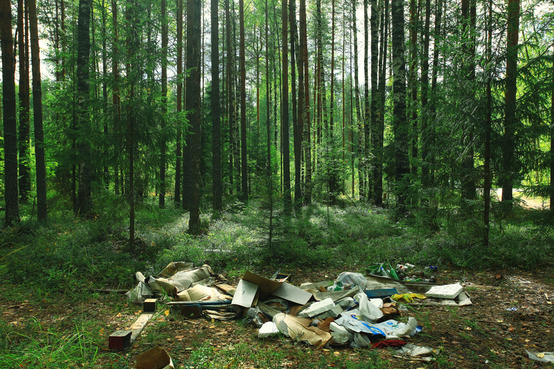 A New Chapter Begins with Clutter Removal and Hoarder Clean Up Services